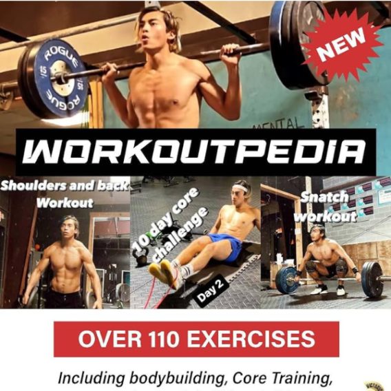80% Commissions – Workoutpedia | Downloads